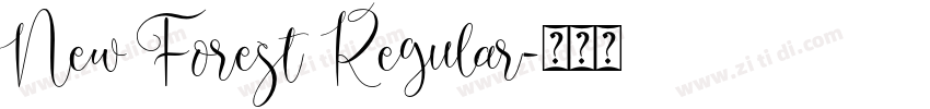 New Forest Regular字体转换